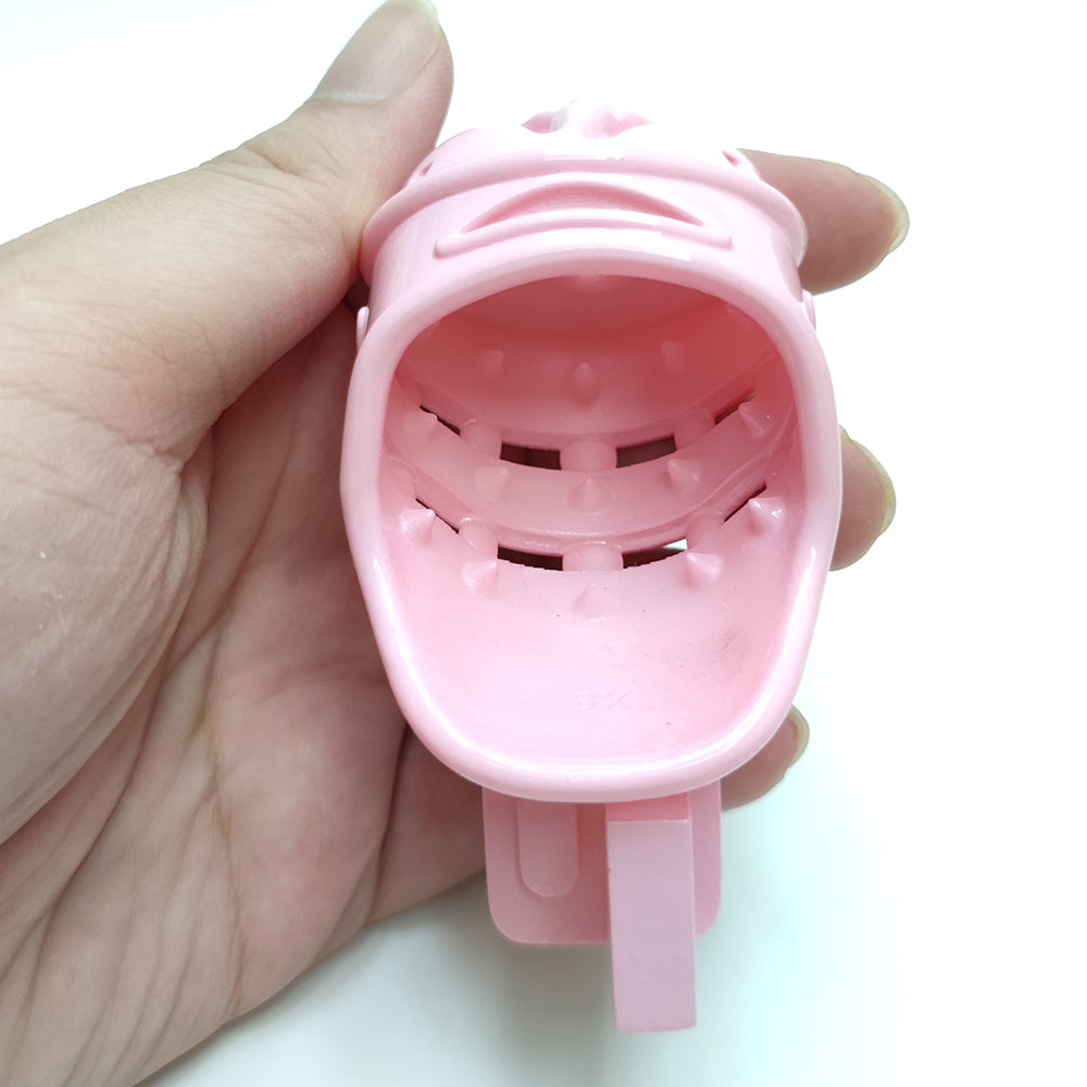 Spiked BDSM Cock Cage Pussy Vaginal Chastity Devices Cage Male Bondage Slave Penis Ring Sex Shop 18+ Gay Ladyboy Sex Toys