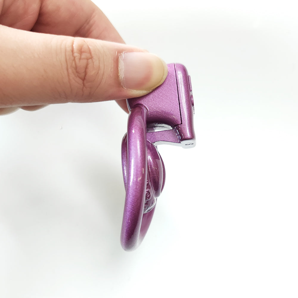 Super Small Only BBC Pussy Vaginal Chastity Cage Devices 4Rings BBC engraved Male Cock Cage Penis Ring Lock BDSM Men'S Sex Toys