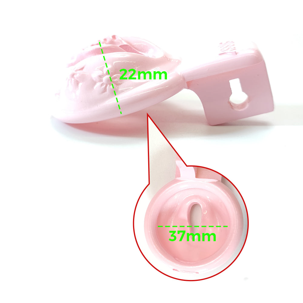 Chastity cage Sissy BDSM Pussy Vaginal Cock Cage Small Male Chastity Devices Bondage Lock Slave Penis Ring Sex Shop 18+ Gay Ladyboy Sex Toys