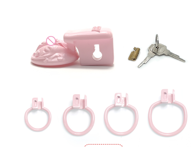 Super Small Sissy BDSM Pussy Vaginal Chastity Cage 4Rings Male Chastity Devices Cock Cage CD TS Penis Ring Lock Sex Toys