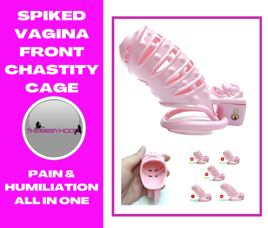 Spiked BDSM Cock Cage Pussy Vaginal Chastity Devices Cage Male Bondage Slave Penis Ring Sex Shop 18+ Gay Ladyboy Sex Toys